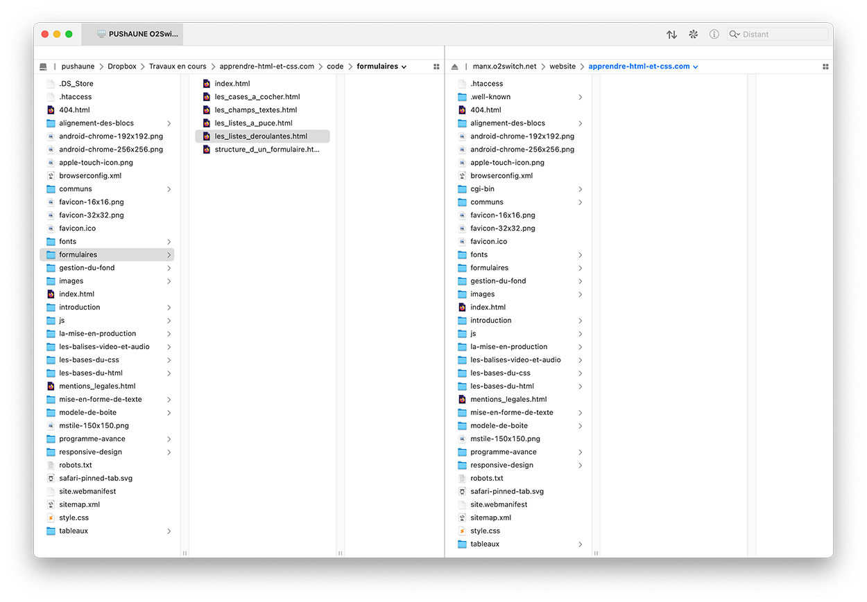 Interface de Transmit sur macOS pour parcourir les fichiers du serveur